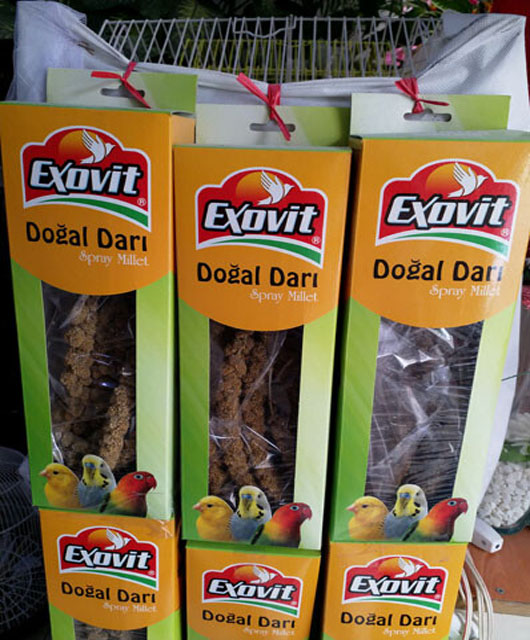 Exovit Doğal Darı